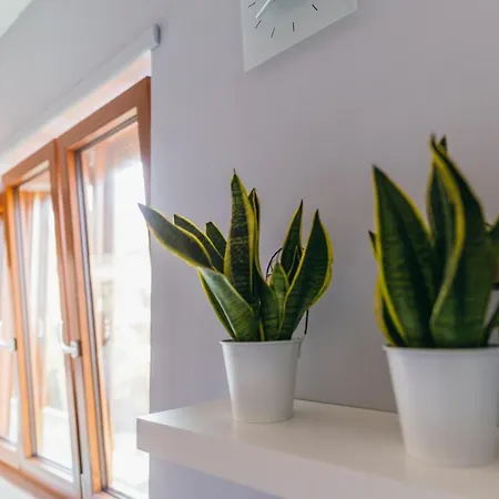 Sorrento City Apartment