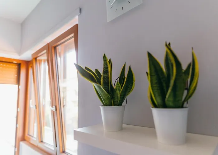 Sorrento City Apartment